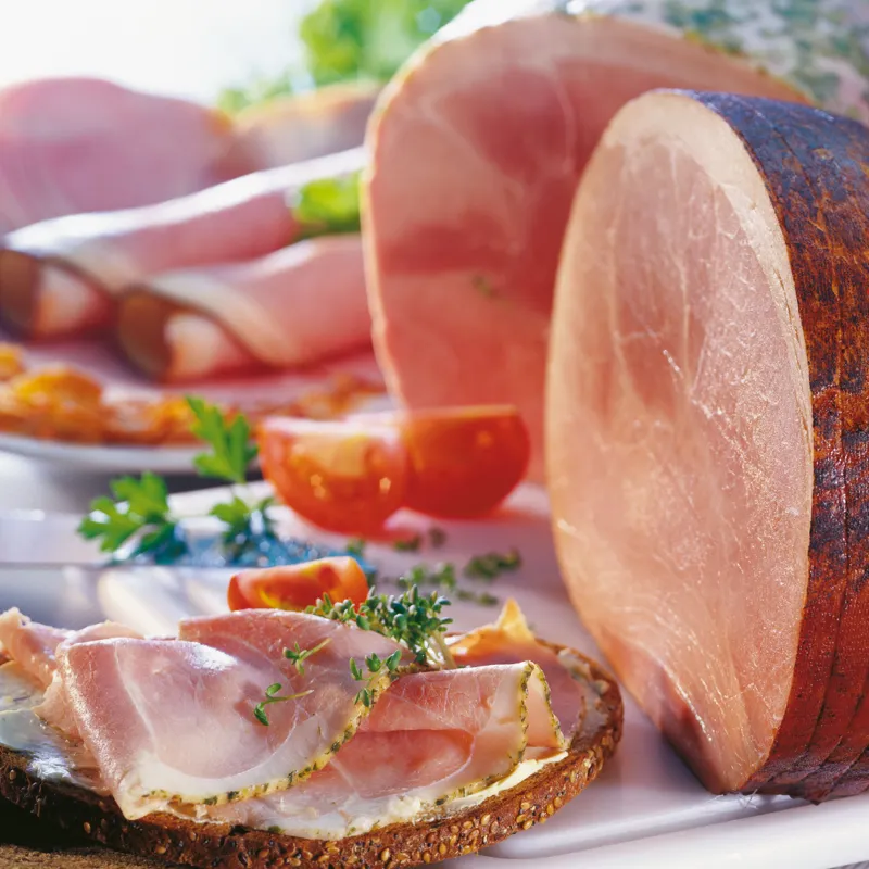 Proteínas animais funcionais para carnes e produtos carneos